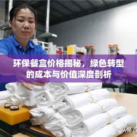 环保餐盒价格揭秘,绿色转型的成本与价值深度剖析