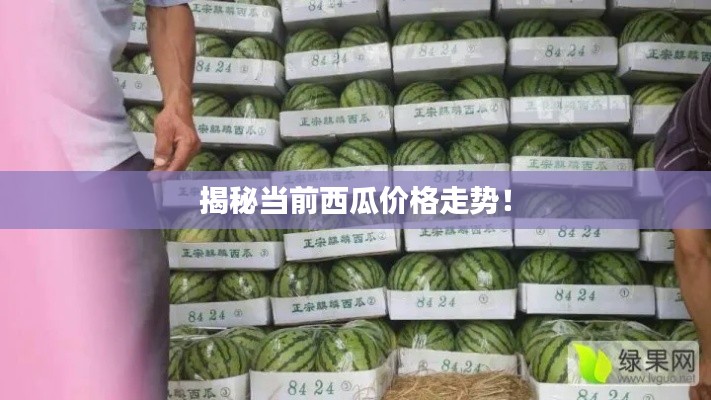 揭秘当前西瓜价格走势！