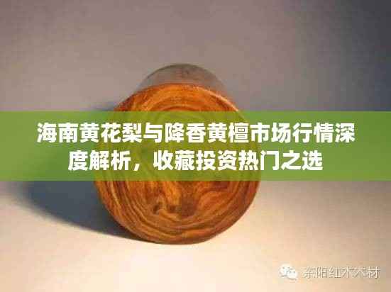 海南黄花梨与降香黄檀市场行情深度解析，收藏投资热门之选