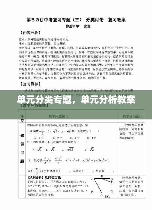 单元分类专题，单元分析教案 
