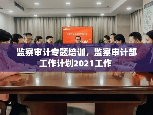 监察审计专题培训,监察审计部工作计划2021工作