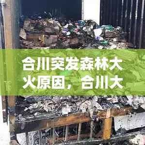 合川突发森林大火原因,合川大树起火
