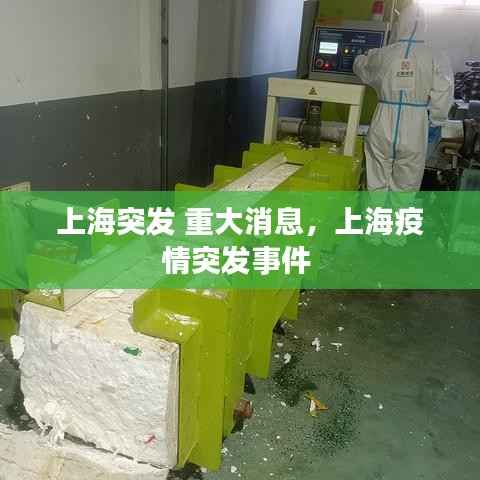 上海突发 重大消息,上海疫情突发事件