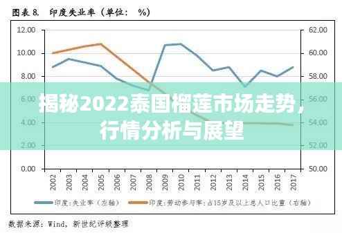 揭秘2022泰国榴莲市场走势，行情分析与展望
