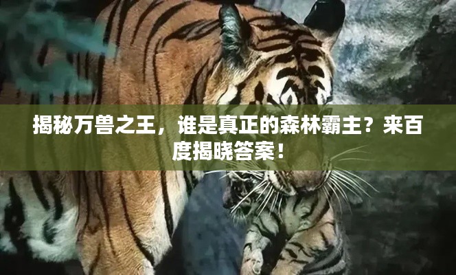 揭秘万兽之王，谁是真正的森林霸主？来百度揭晓答案！