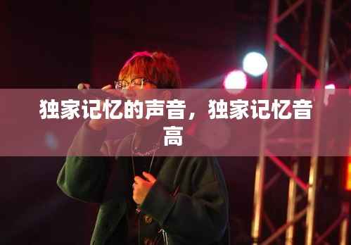 独家记忆的声音，独家记忆音高 