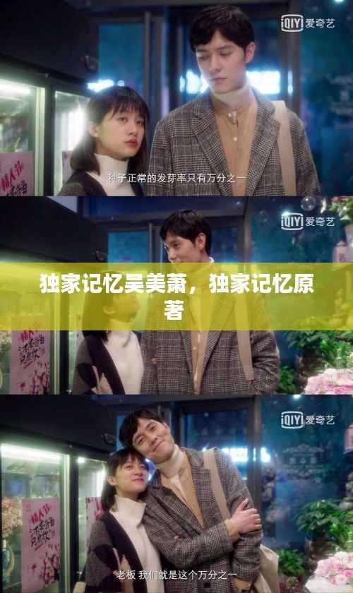 独家记忆吴美萧,独家记忆原著