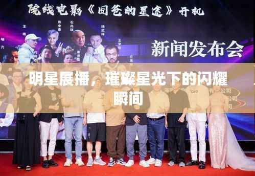 明星展播，璀璨星光下的闪耀瞬间
