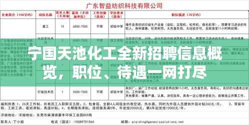 宁国天池化工全新招聘信息概览，职位、待遇一网打尽