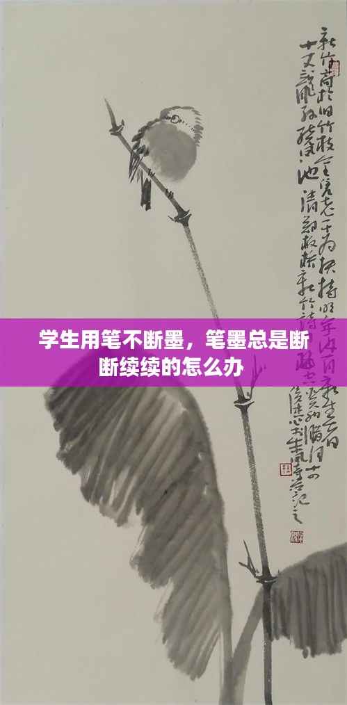 无影无踪 第3页