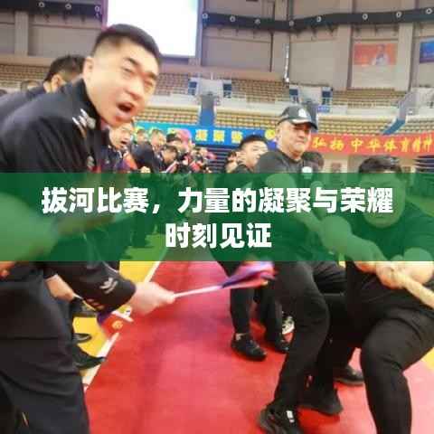 拔河比赛,力量的凝聚与荣耀时刻见证