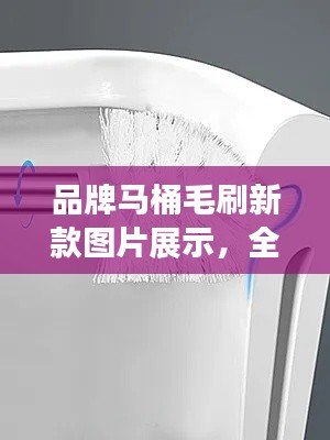 品牌马桶毛刷新款图片展示，全面评测，不容错过！