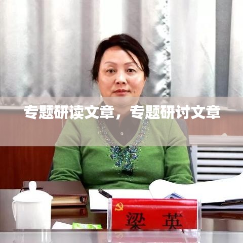 专题研读文章,专题研讨文章