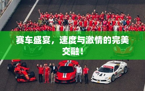 赛车盛宴，速度与激情的完美交融！