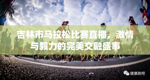 吉林市马拉松比赛直播，激情与毅力的完美交融盛事