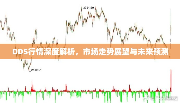 DDS行情深度解析,市场走势展望与未来预测