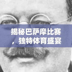 揭秘巴萨摩比赛，独特体育盛宴的激情与荣耀