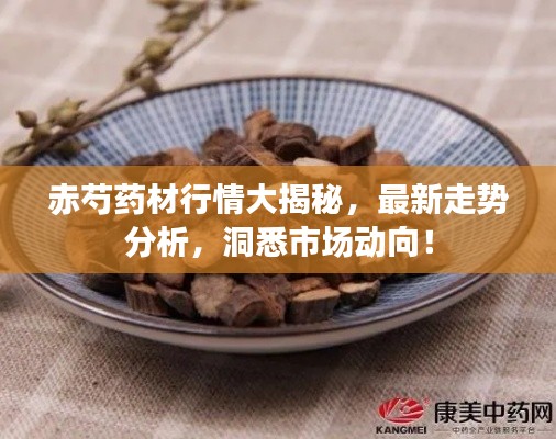 赤芍药材行情大揭秘,最新走势分析,洞悉市场动向!