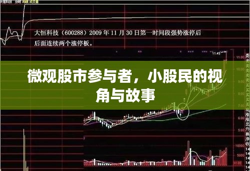 微观股市参与者，小股民的视角与故事
