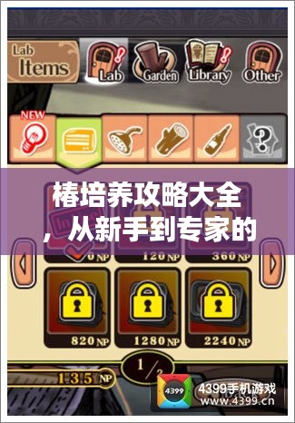 椿培养攻略大全，从新手到专家的全方位指南（2024最新版）