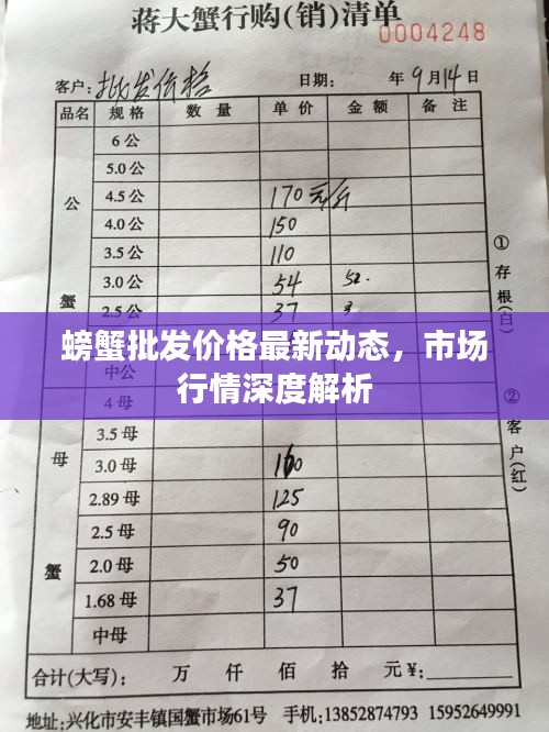 螃蟹批发价格最新动态,市场行情深度解析