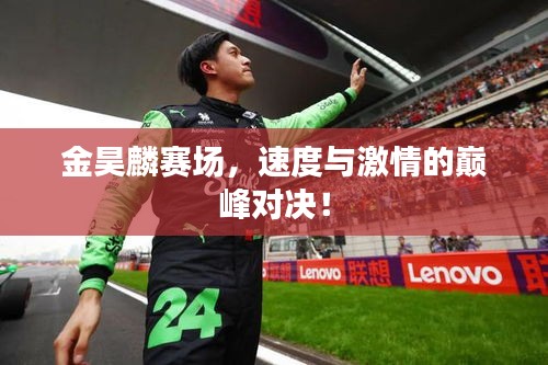 金昊麟赛场,速度与激情的巅峰对决!