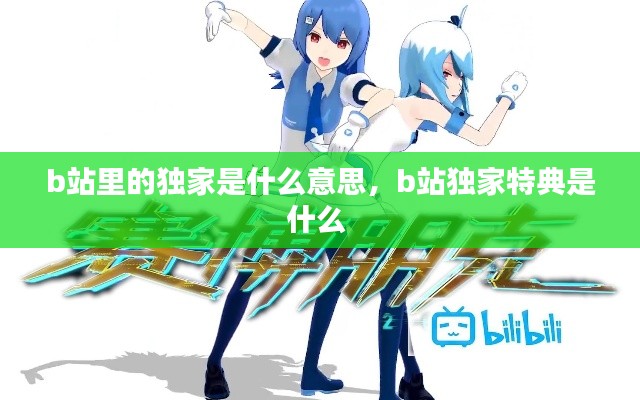 b站里的独家是什么意思，b站独家特典是什么 
