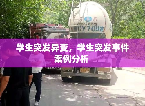 学生突发异变,学生突发事件案例分析