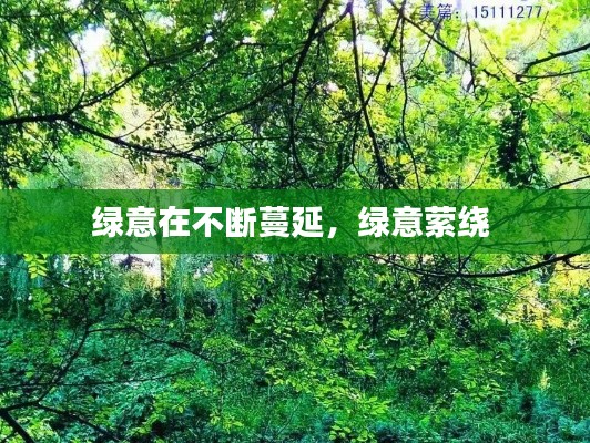 绿意在不断蔓延，绿意萦绕 