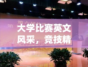 大学比赛英文风采,竞技精神全球绽放