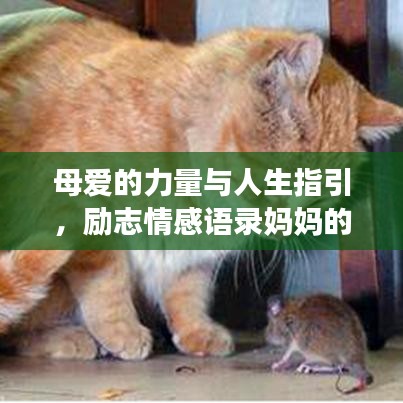 母爱的力量与人生指引,励志情感语录妈妈的心声