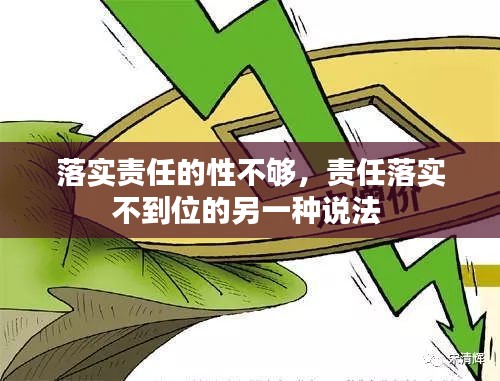 落实责任的性不够，责任落实不到位的另一种说法 
