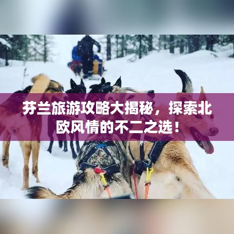 芬兰旅游攻略大揭秘，探索北欧风情的不二之选！