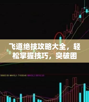 飞道绝技攻略大全，轻松掌握技巧，突破困境！