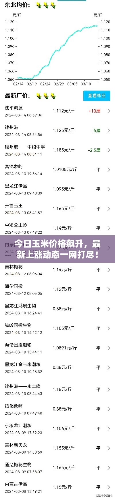 今日玉米价格飙升，最新上涨动态一网打尽！