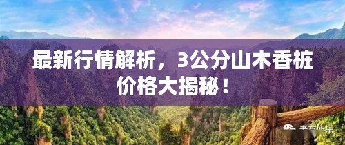 最新行情解析,3公分山木香桩价格大揭秘!