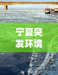 宁夏突发环境事件，宁夏环境污染情况 