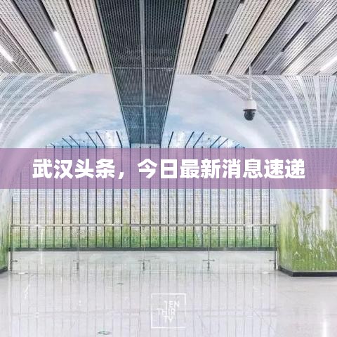 武汉头条,今日最新消息速递