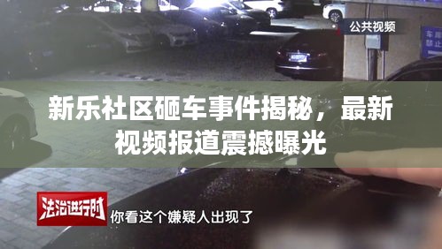 新乐社区砸车事件揭秘,最新视频报道震撼曝光