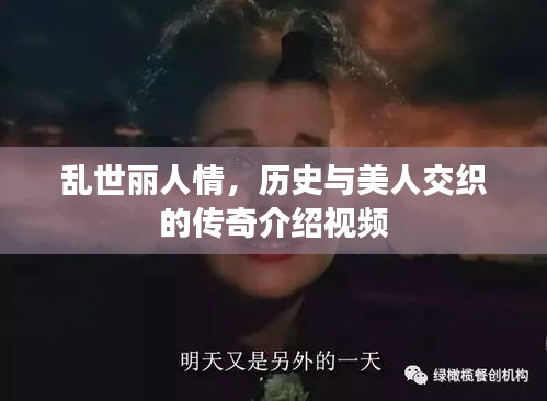 乱世丽人情,历史与美人交织的传奇介绍视频