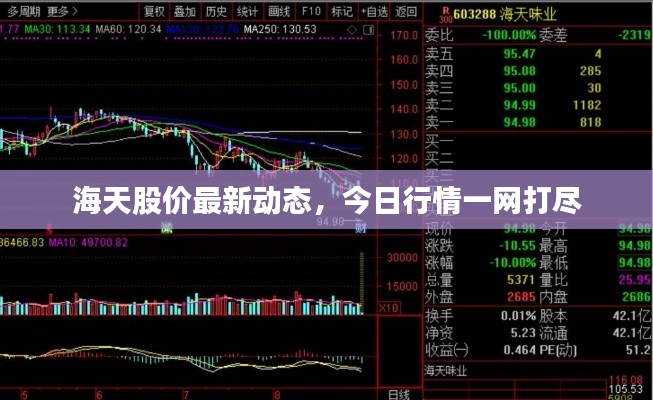 海天股价最新动态,今日行情一网打尽