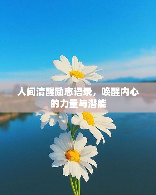 人间清醒励志语录，唤醒内心的力量与潜能