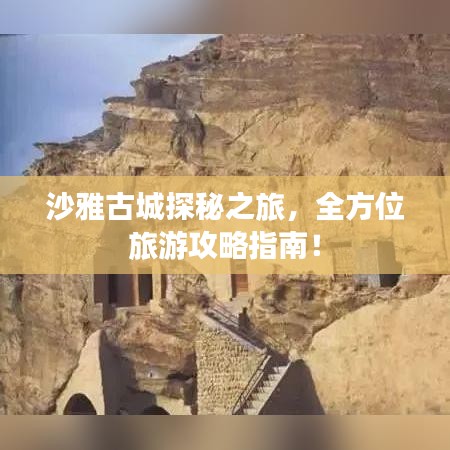 沙雅古城探秘之旅，全方位旅游攻略指南！