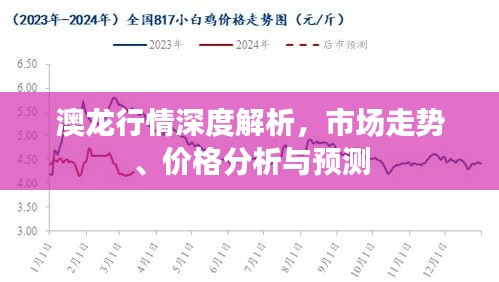 澳龙行情深度解析，市场走势、价格分析与预测