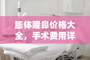 膨体隆鼻价格大全,手术费用详解及影响因素
