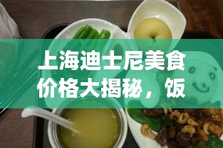 上海迪士尼美食价格大揭秘,饭菜价格概览