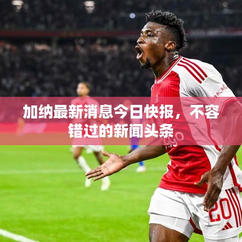 加纳最新消息今日快报，不容错过的新闻头条